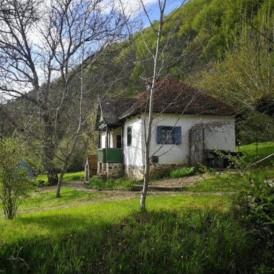 Borvizek és rejtett falvak félnapos terepjárós túrája Erdővidéken